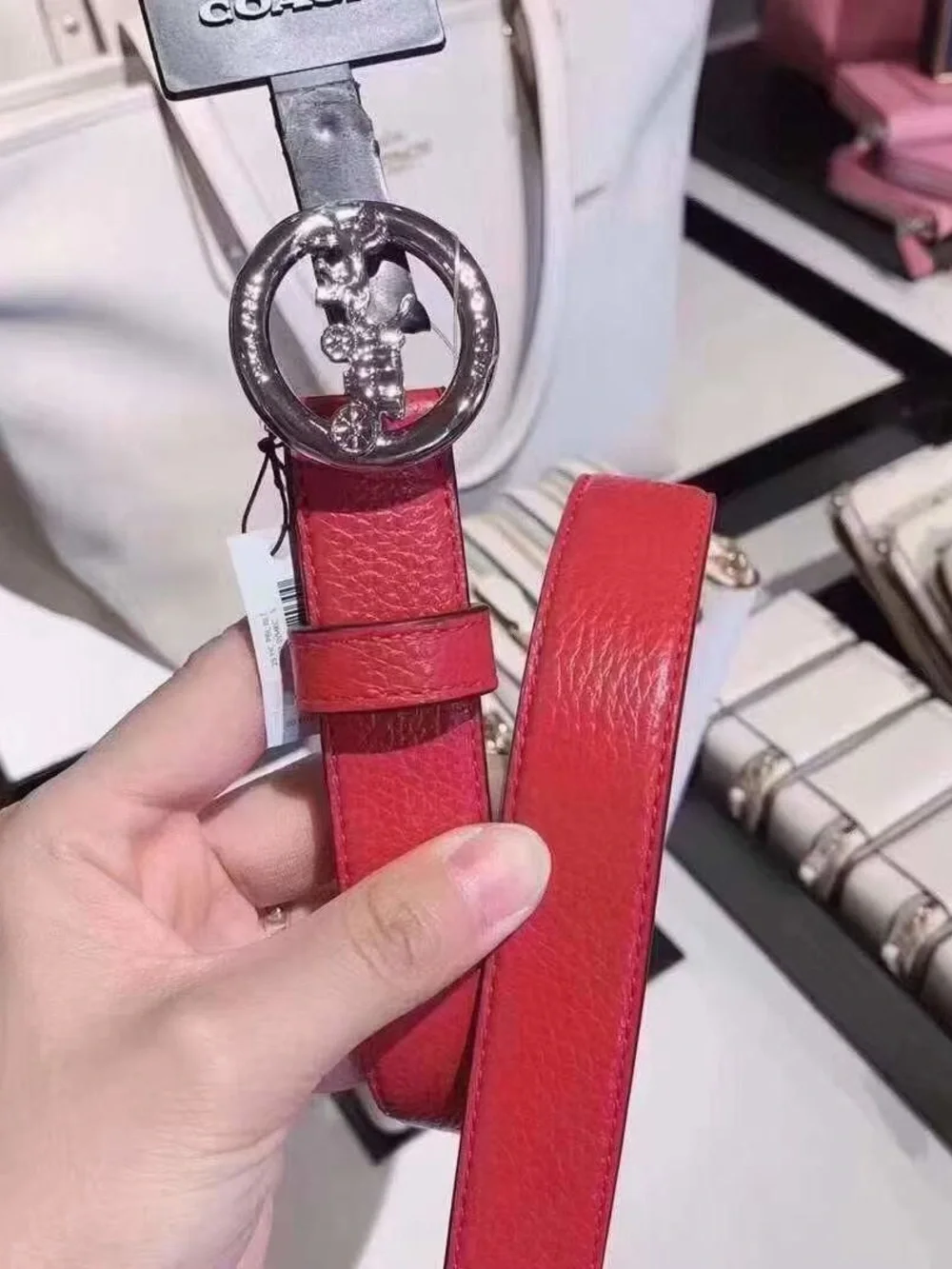 coach women belt —M